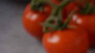 Bowl de ensalada de gambas con aguacate