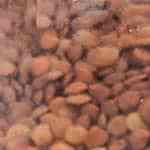 ensalada fresca de lentejas con pepino