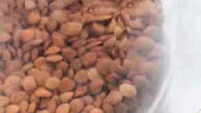 ensalada fresca de lentejas con pepino