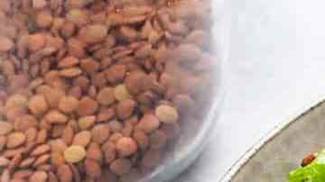 ensalada fresca de lentejas con pepino