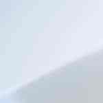 plato de lentejas con zanahoria