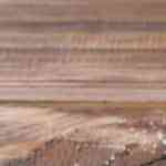 pechugas de pollo en salsa de coco