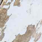 Salchichas caseras de pollo