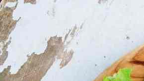 Salchichas caseras de pollo