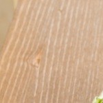 Alcachofas con patatas