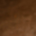 Alcachofas al ajillo