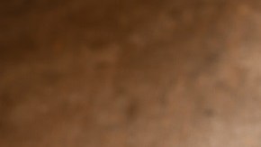 Alcachofas al ajillo