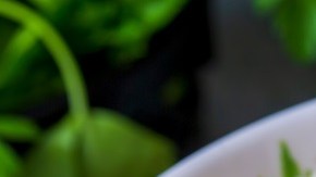 Arroz con mejillones