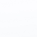 Arroz con pato peruano