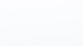 Arroz con pato peruano