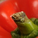 Arroz con pollo cubano