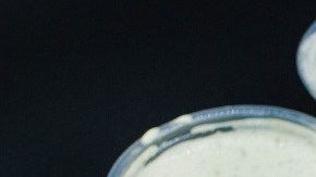 Empanada de queso venezolana