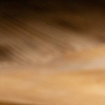 Fricasé de pollo cubano