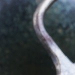 Mejillones a la marinera