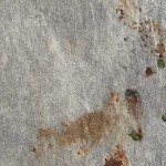 Mejillones gratinados