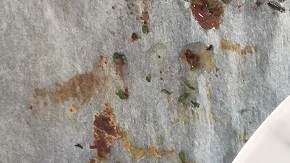 Mejillones gratinados