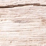 Picadillo de carne cubano