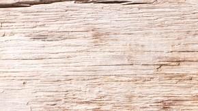 Picadillo de carne cubano