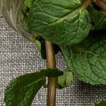 Alcachofas a la romana