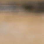 batido de fresa y plátano