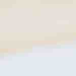 gambas salteadas deliciosas