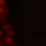 hervido de costilla venezolano