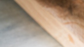 Lasaña de alcachofas