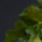 Paleta de cerdo cubana