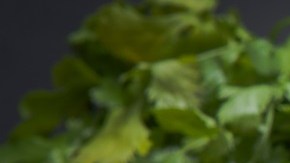 Paleta de cerdo cubana