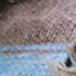 Pescado frito con tostones y ensalada