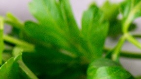 Sopa de brócoli y puerros