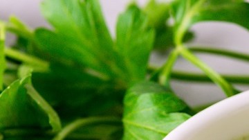 Sopa de brócoli y puerros