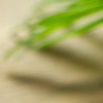 Albóndigas con chipotle