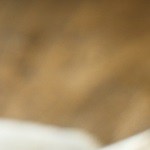 Empanada argentina de chorizo