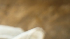 Empanada argentina de chorizo