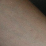 Empanada gallega de bacalao