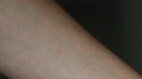 Empanada gallega de bacalao