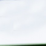 Osobuco al horno con vino tinto