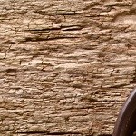 Salsa boloñesa vegana