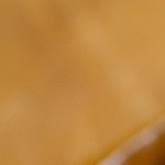 Seco de carne peruano