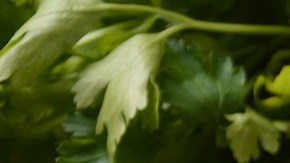 Sopa de pollo peruana