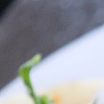 Tacos al pastor veganos