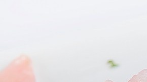 Tiraditos de pescado peruano