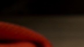 Arroz con pollo peruano