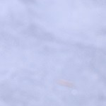 Batido de frutas tropicales