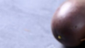 Batido de frutas tropicales