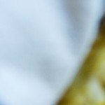 Empanadas argentinas de verduras