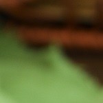 Empanada argentina de pollo