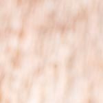 plato con lentejas a la jardinera