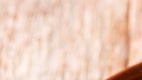 plato con lentejas a la jardinera